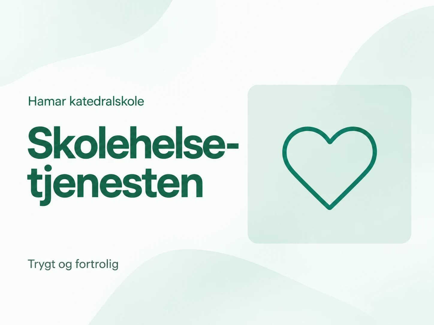 Skolehelsetjenesten ved Hamar katedralskole — grønt og hvitt omslag med et hjerte.
